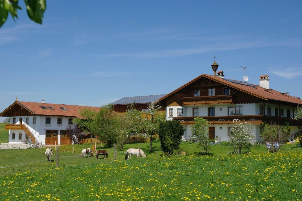Berghof Walser Obersochering Eksteriør billede